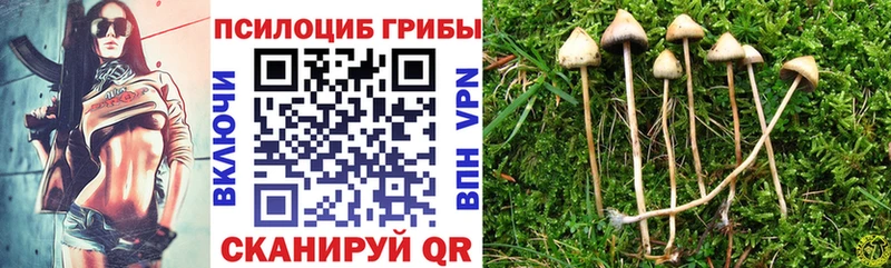 Псилоцибиновые грибы прущие грибы Сорочинск